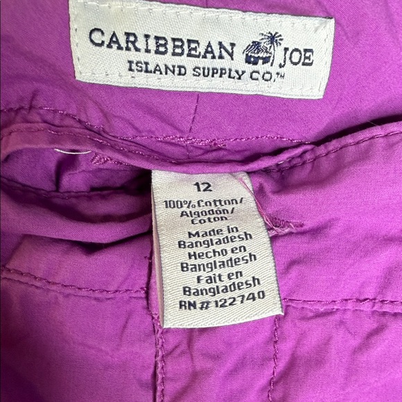 Caribbean Joe Vibrant Purple Garment - Picture 2 of 6